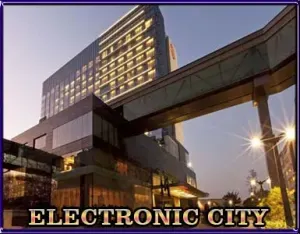 call girl electronic city bangalore